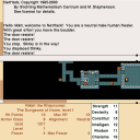 Nethack-x11.png