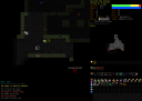 Dcss.png