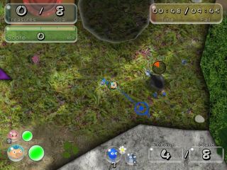 Pikifen Playful Yard.jpg